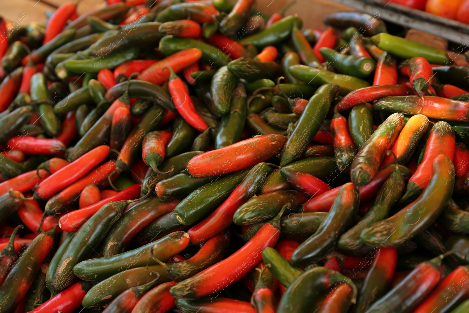 Photo of Heap of fresh Serrano peppers on counter at market, closeup