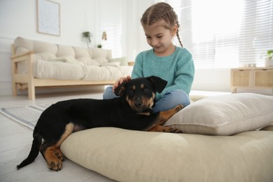Photo of Little girl with cute puppy sitting on soft pillow at home