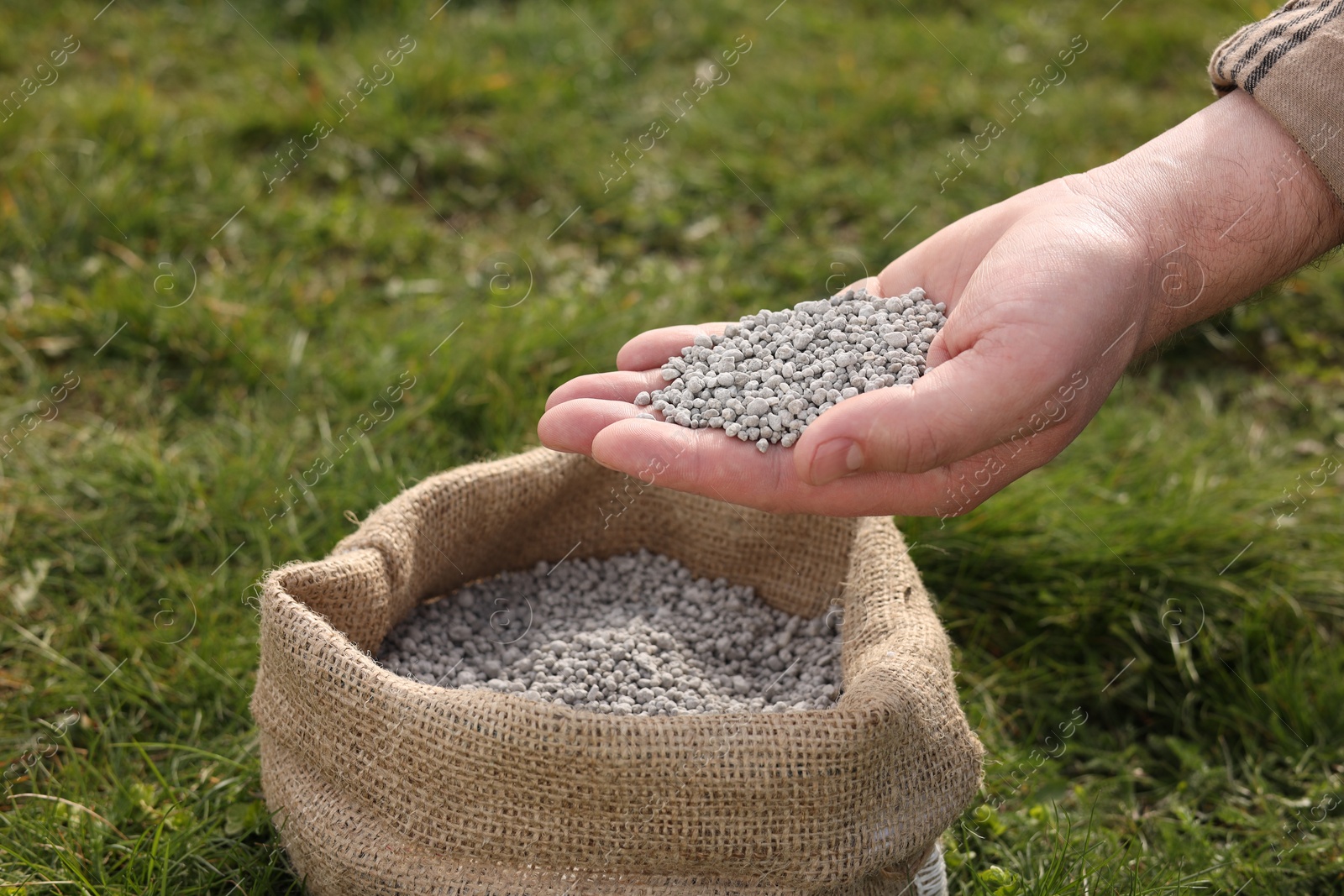 Photo of Man with fertilizer on green grass outdoors, closeup