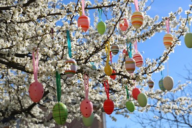 Beautifully painted Easter eggs hanging on blooming cherry tree outdoors