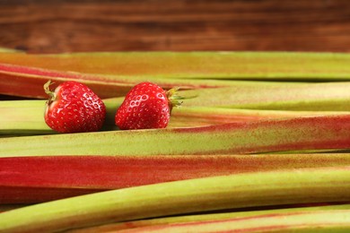 Many fresh rhubarb stalks and strawberries as background, closeup