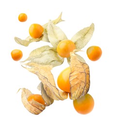 Ripe orange physalis fruits with calyx falling on white background