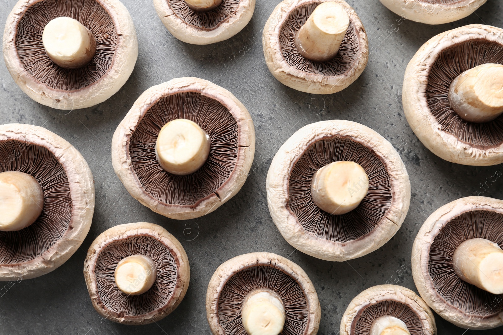 Photo of Fresh champignon mushrooms on grey background, flat lay