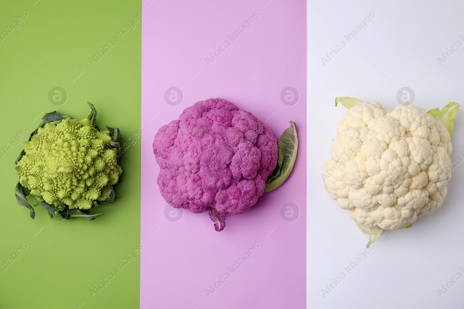 Photo of Different fresh cabbages on colorful background, flat lay