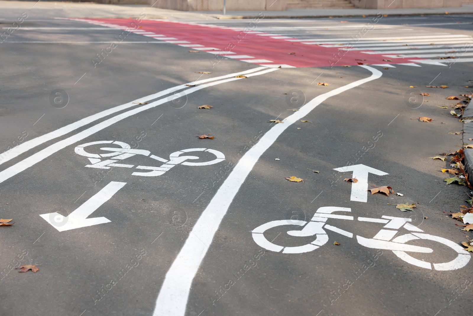 Photo of Two way bicycle lane with white signs on asphalt