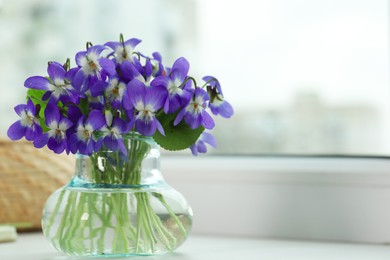 Photo of Beautiful wood violets in glass vase on window sill indoors, space for text. Spring flowers