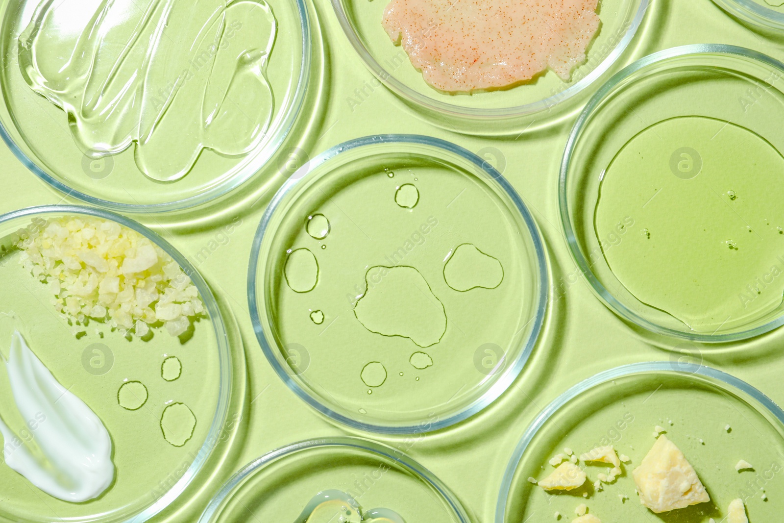 Photo of Flat lay composition with Petri dishes on light green background