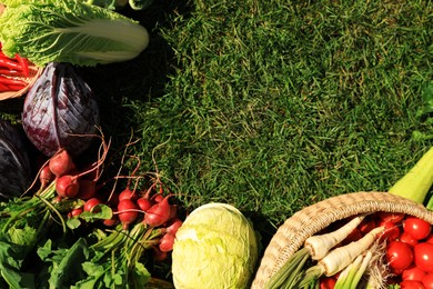 Photo of Different fresh ripe vegetables on green grass, flat lay. Space for text