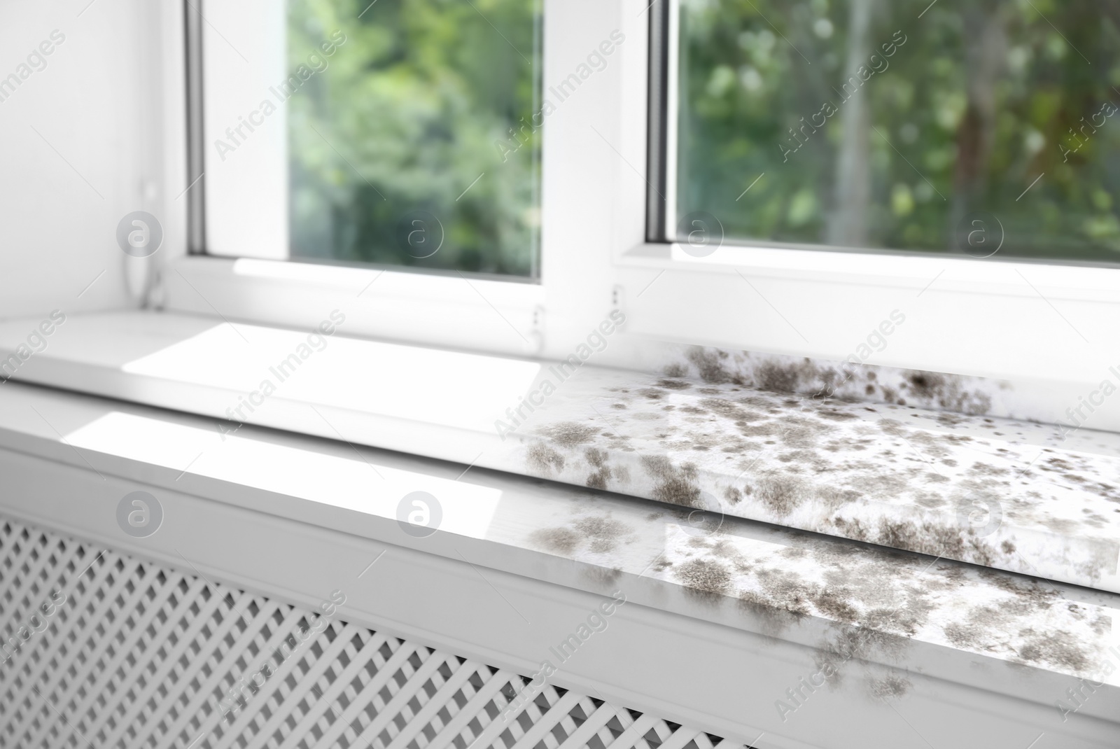 Image of Window sill affected with mold in room