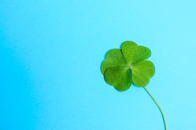 Beautiful green four leaf clover on light blue background, top view. Space for text