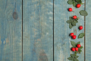 Photo of Ripe rose hip berries with green leaves on light blue wooden table, flat lay. Space for text