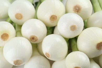 Whole green spring onions as background, closeup