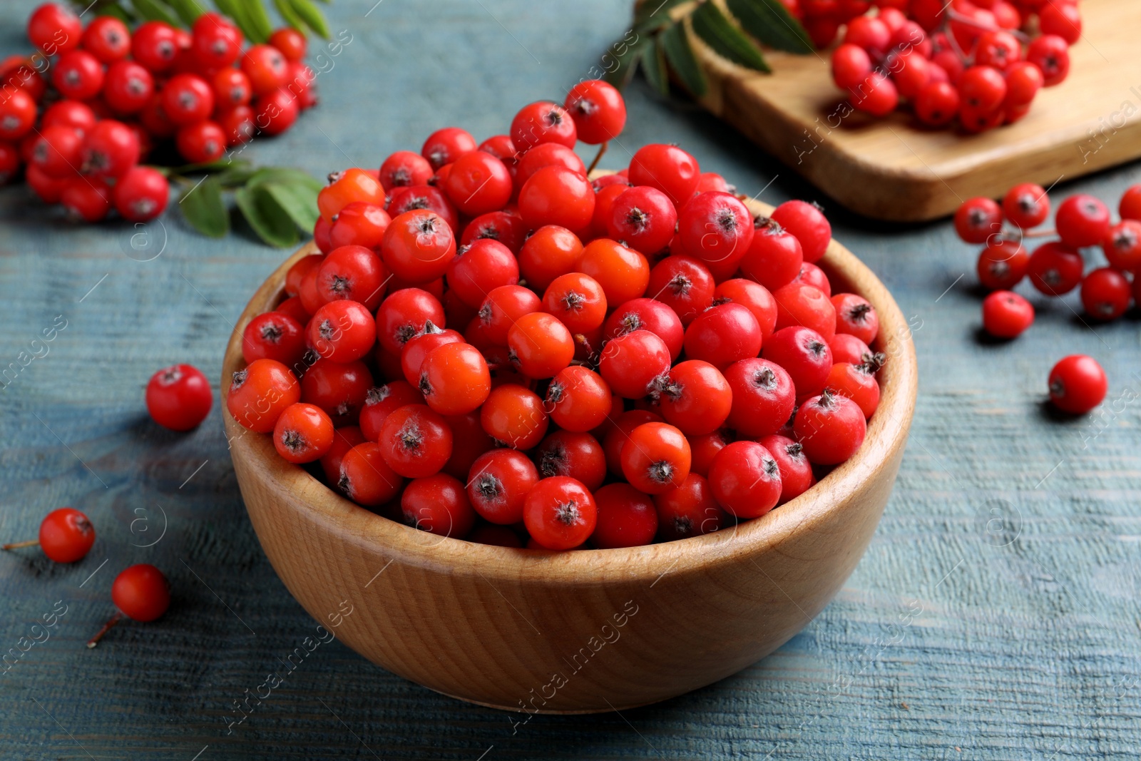 Photo of Fresh ripe rowan berries in wooden bowl on light blue table
