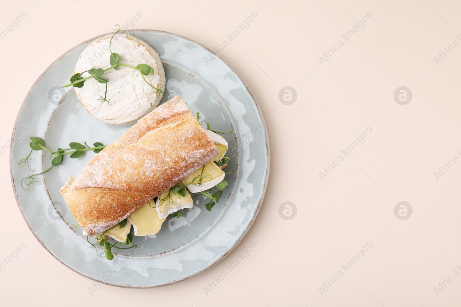 Photo of Tasty sandwich with brie cheese on beige background, top view. Space for text