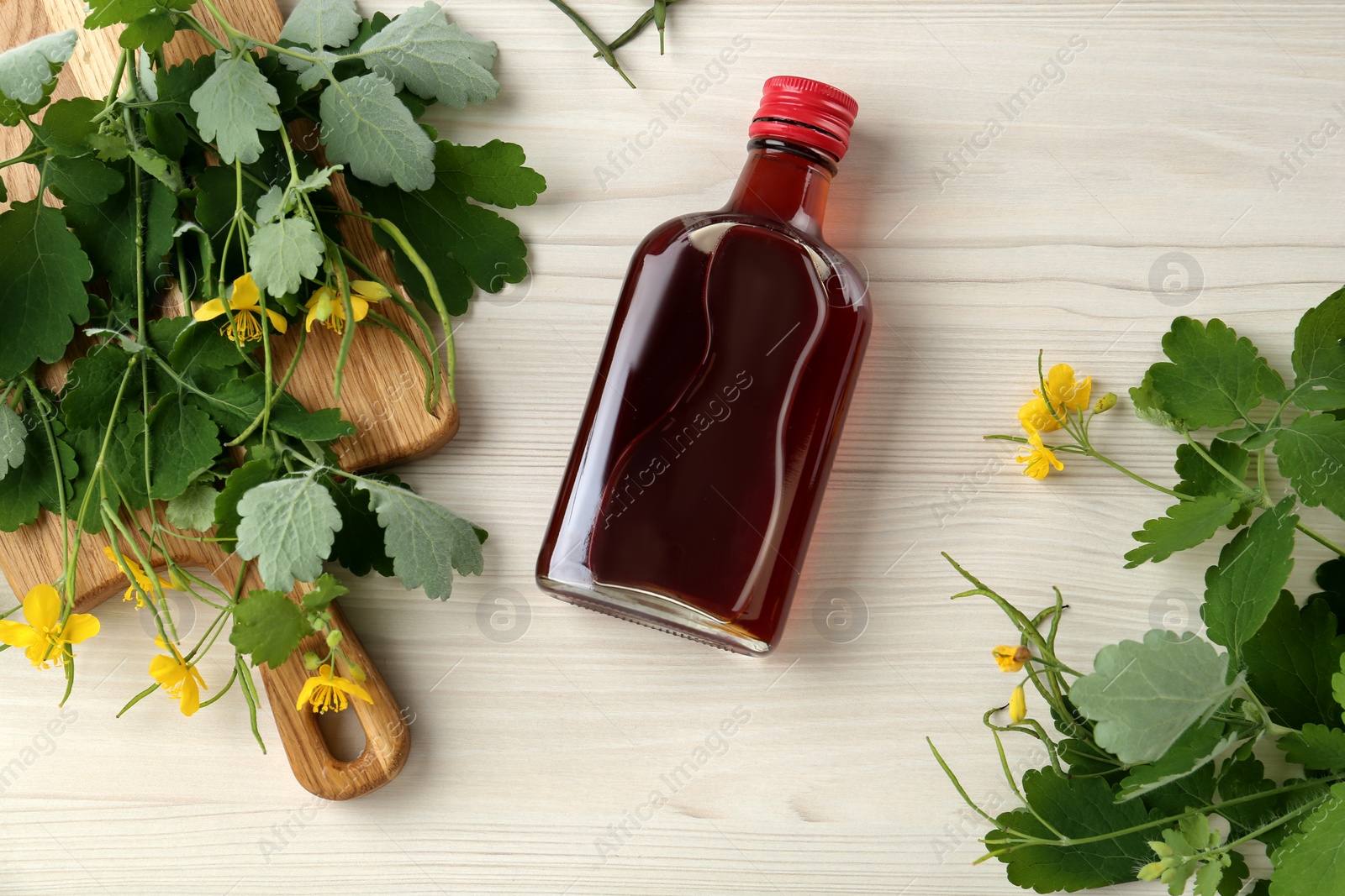 Photo of Bottle of celandine tincture and plant on white wooden table, flat lay