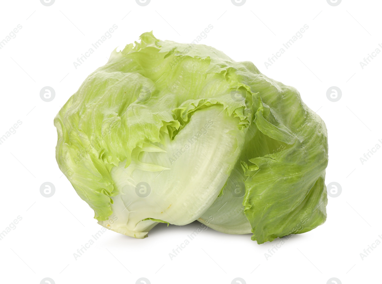 Photo of Fresh green iceberg lettuce isolated on white