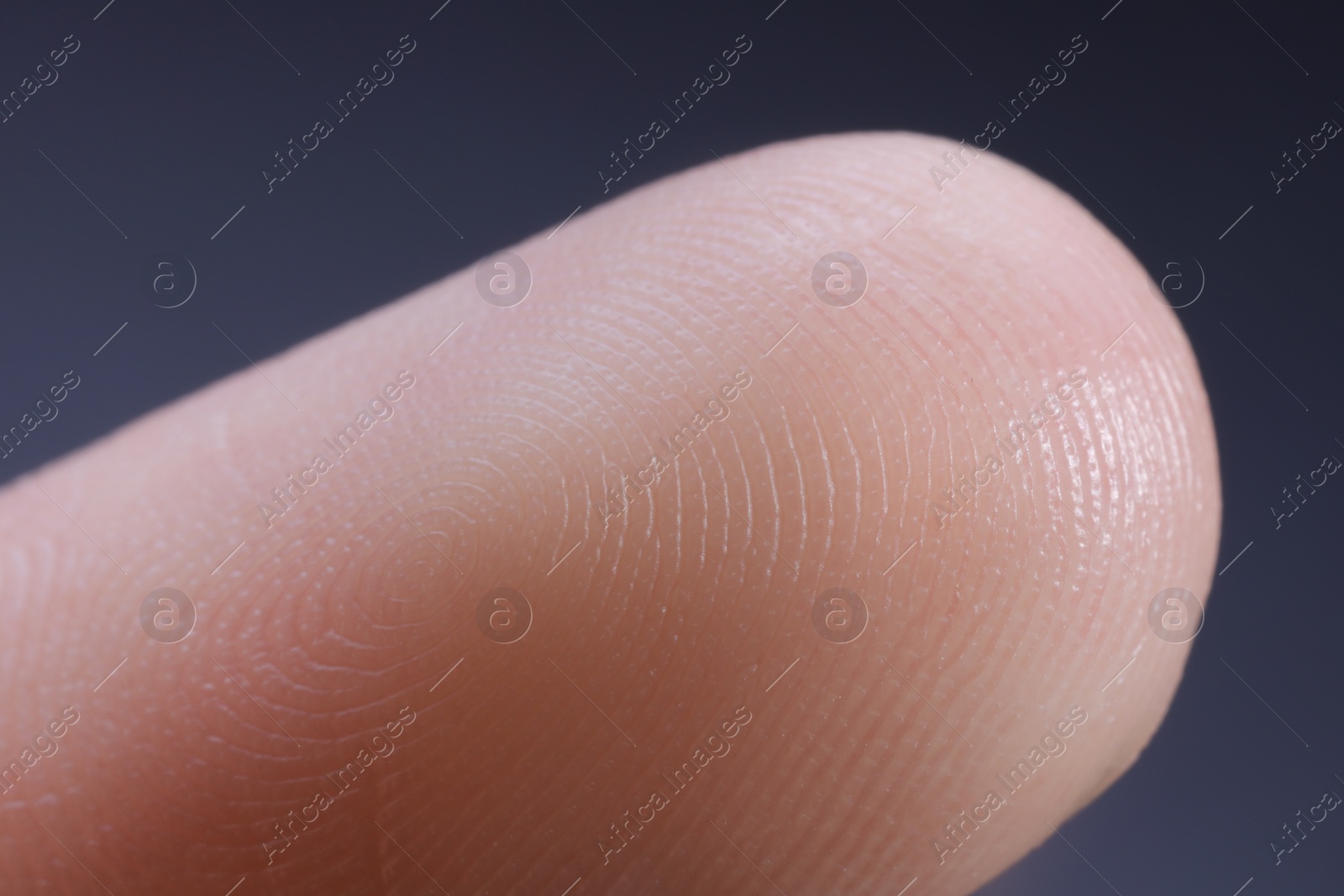 Photo of Finger with friction ridges on dark background, macro view