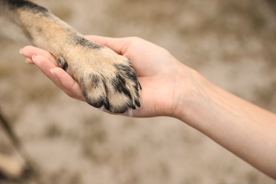 Photo of Woman holding dog's paw on blurred background, closeup. Concept of volunteering