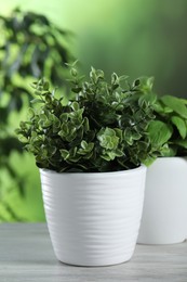 Photo of Aromatic oregano and basil growing in pots on white wooden table outdoors