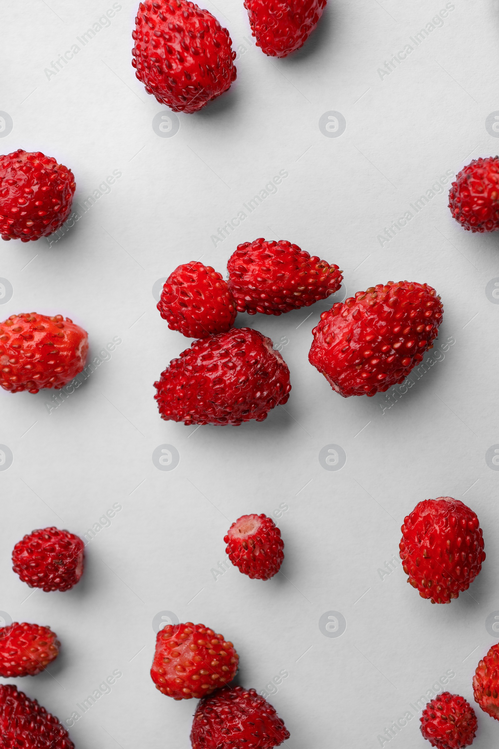 Photo of Many fresh wild strawberries on white background, flat lay