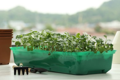 Fresh microgreens growing in plastic containers with soil and gardening tools on windowsill