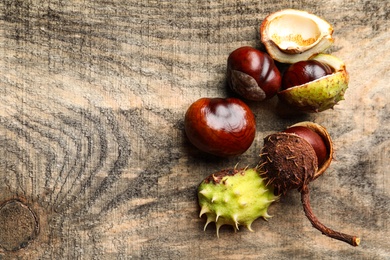 Horse chestnuts on wooden table, flat lay. Space for text