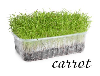 Fresh organic microgreen in plastic container on white background