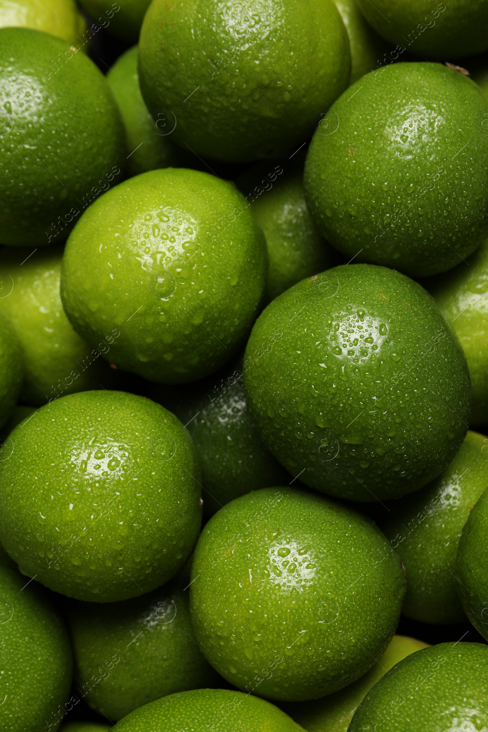 Photo of Fresh ripe limes with water drops as background, top view