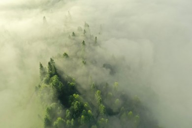 Aerial view of beautiful landscape with misty forest on autumn day