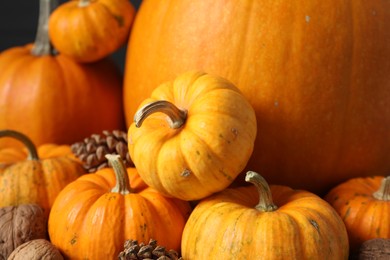 Photo of Thanksgiving day. Pumpkins, conifer cones and walnuts on blurred background, closeup