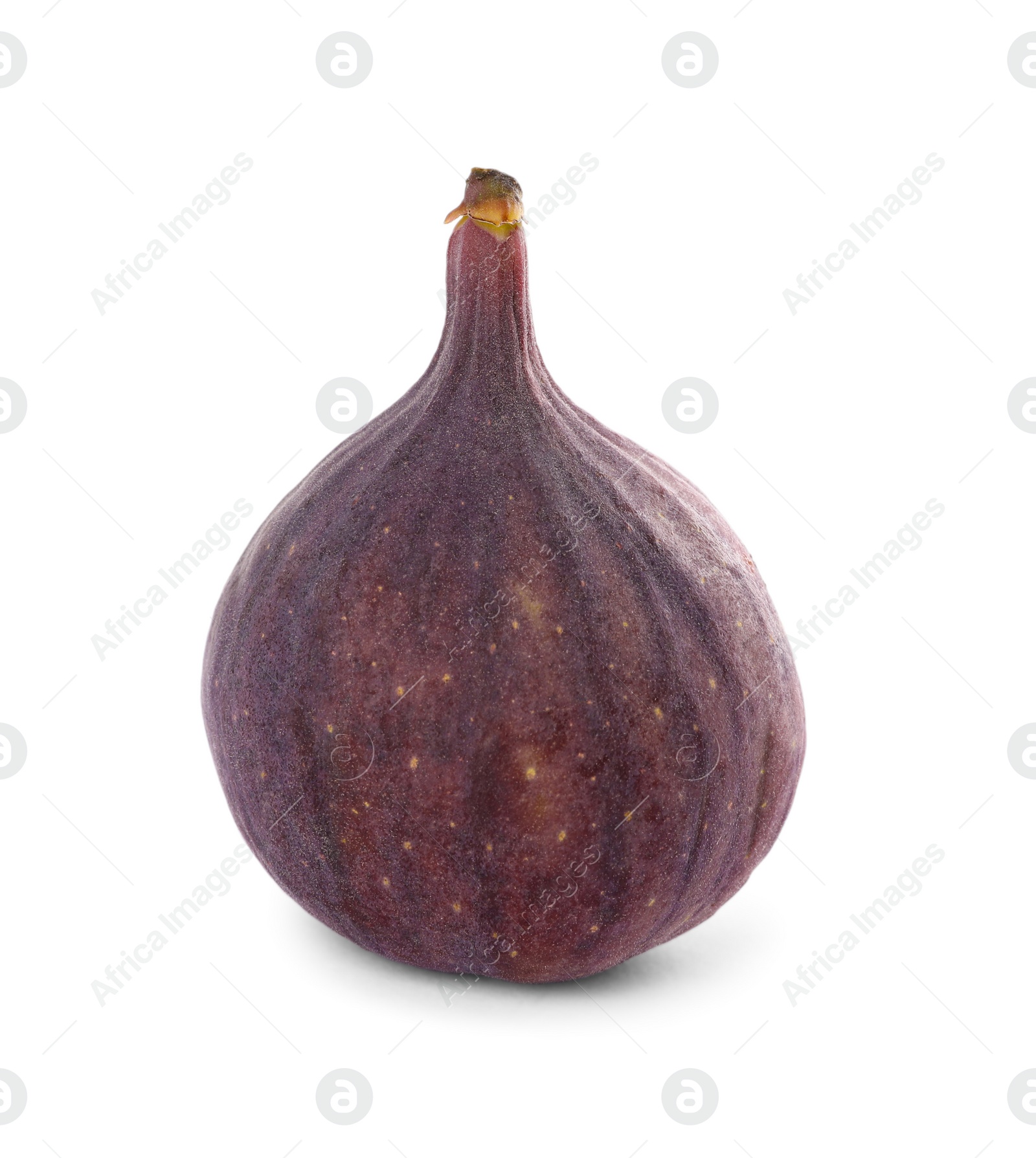 Photo of Whole tasty fresh fig isolated on white