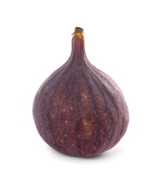 Photo of Whole tasty fresh fig isolated on white