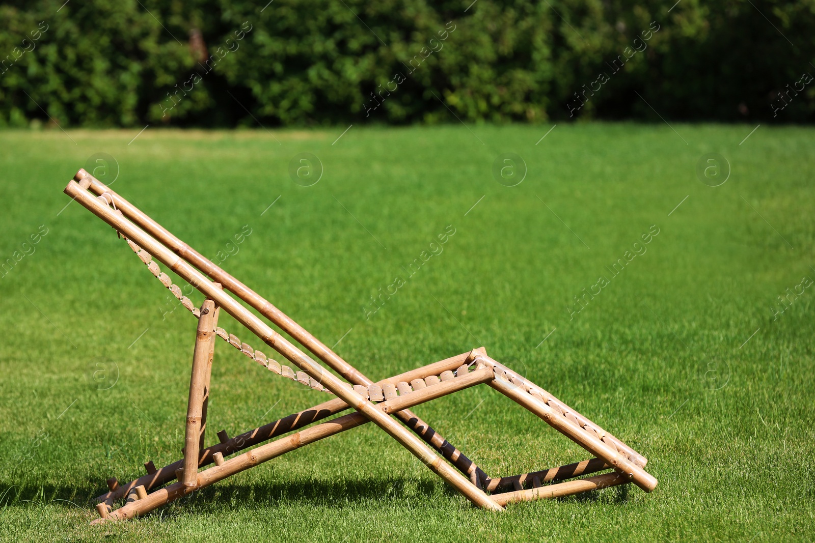 Photo of Wooden deck chair in beautiful garden on sunny day