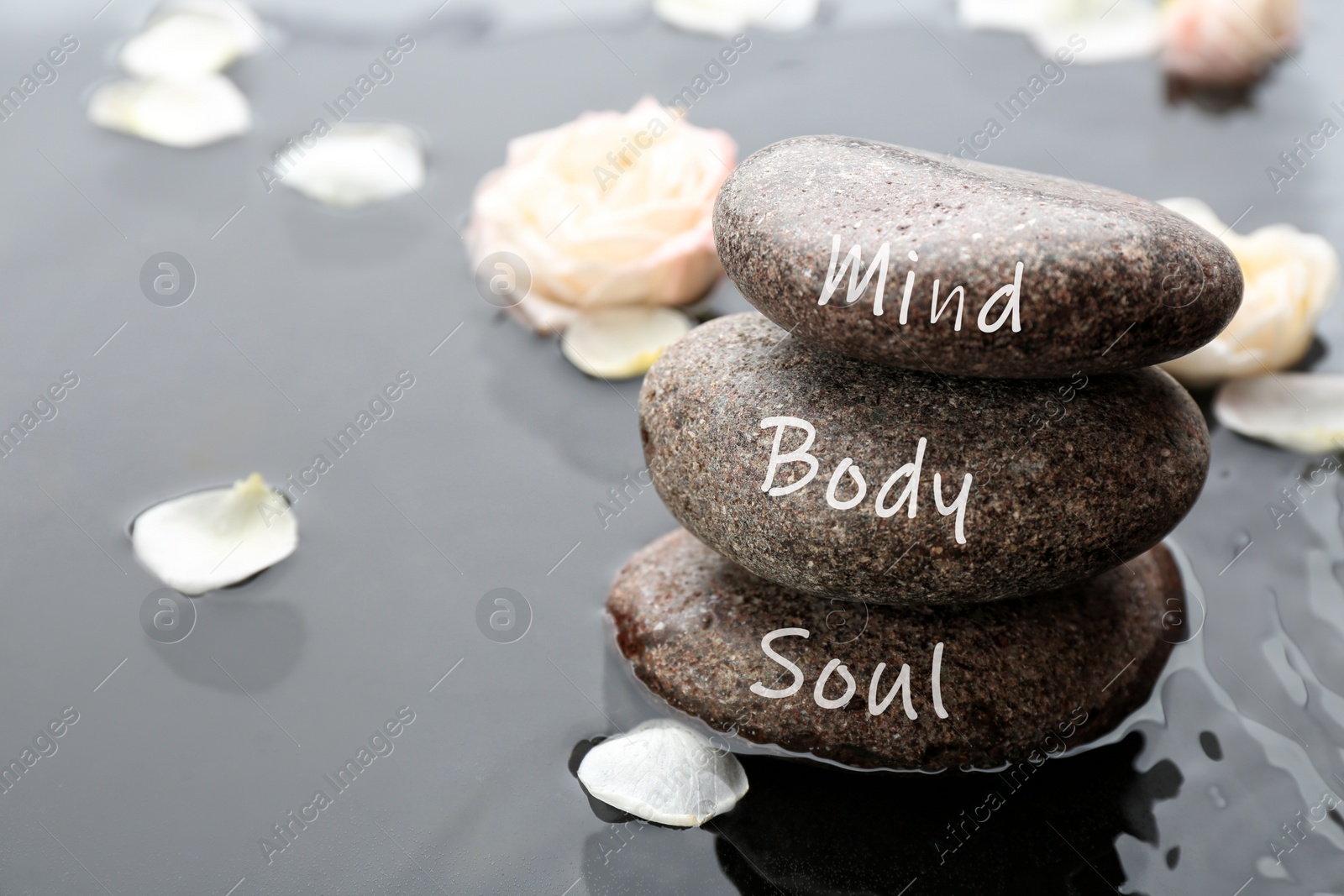 Image of Stones with words Mind, Body, Soul and flower petals in water, space for text. Zen lifestyle