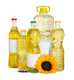 Photo of Bottles with sunflower cooking oil, seeds and yellow flower on white background