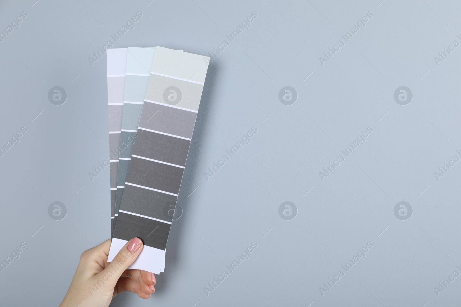 Photo of Woman with paint chips choosing color near grey wall, closeup. Interior design