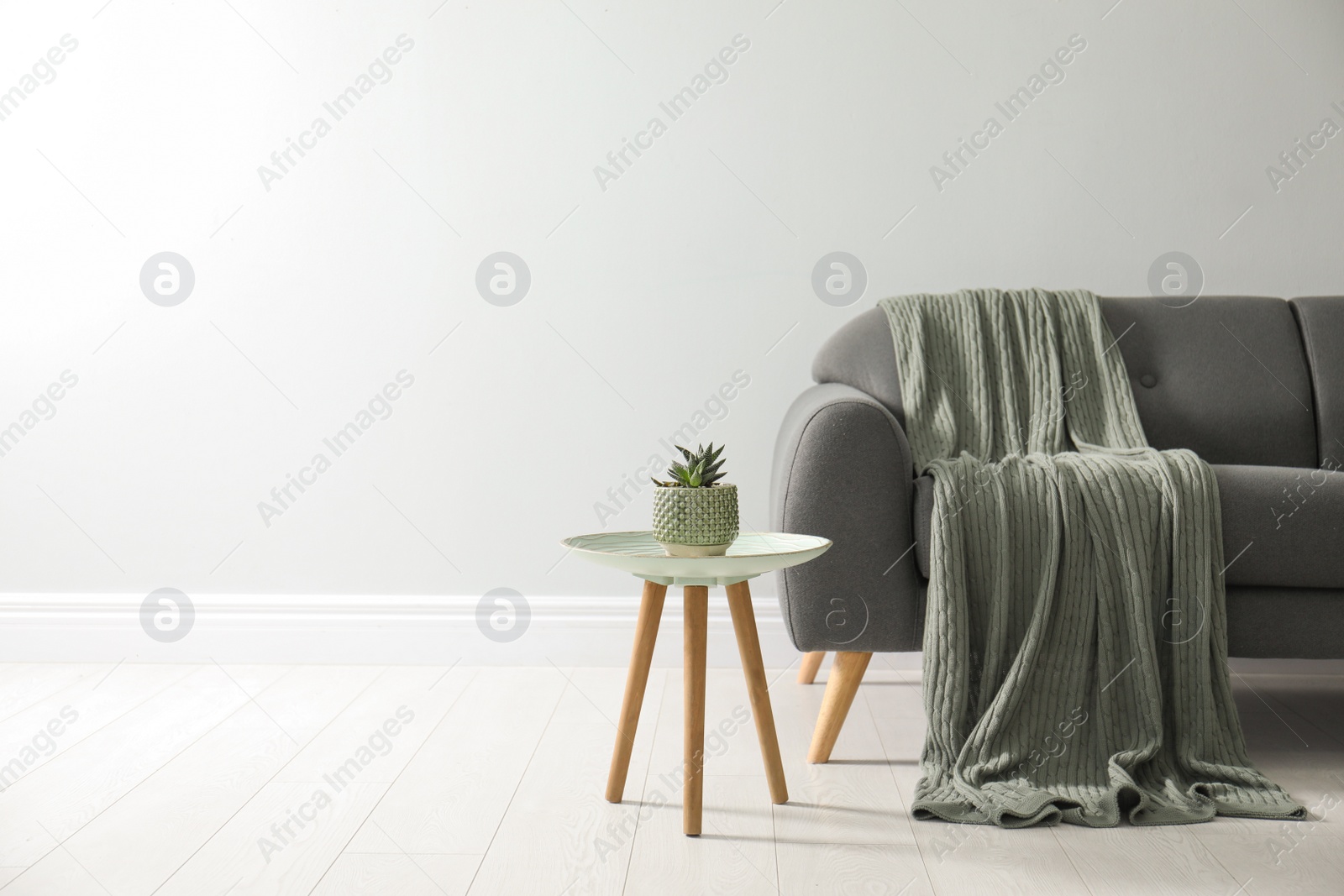 Photo of Stylish living room interior with comfortable grey sofa and beautiful plant