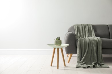 Photo of Stylish living room interior with comfortable grey sofa and beautiful plant