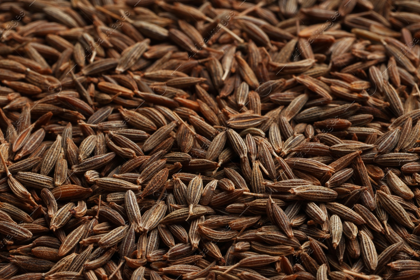 Photo of Aromatic caraway seeds as background, closeup view