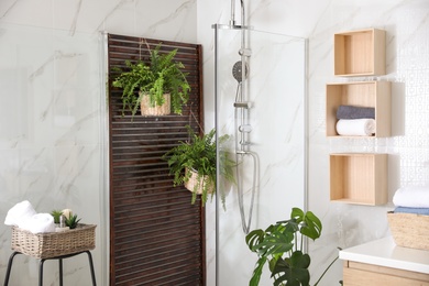 Photo of Bathroom interior with shower stall and houseplants. Idea for design