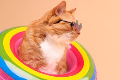 Photo of Cute ginger cat in stylish sunglasses with swim ring on beige background