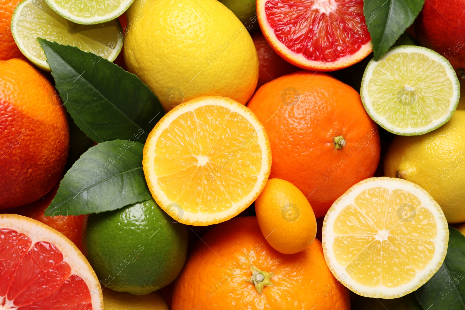 Photo of Different ripe citrus fruits as background, closeup