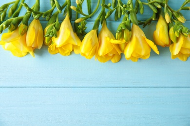 Photo of Beautiful fresh freesia flowers on color background, top view. Space for text