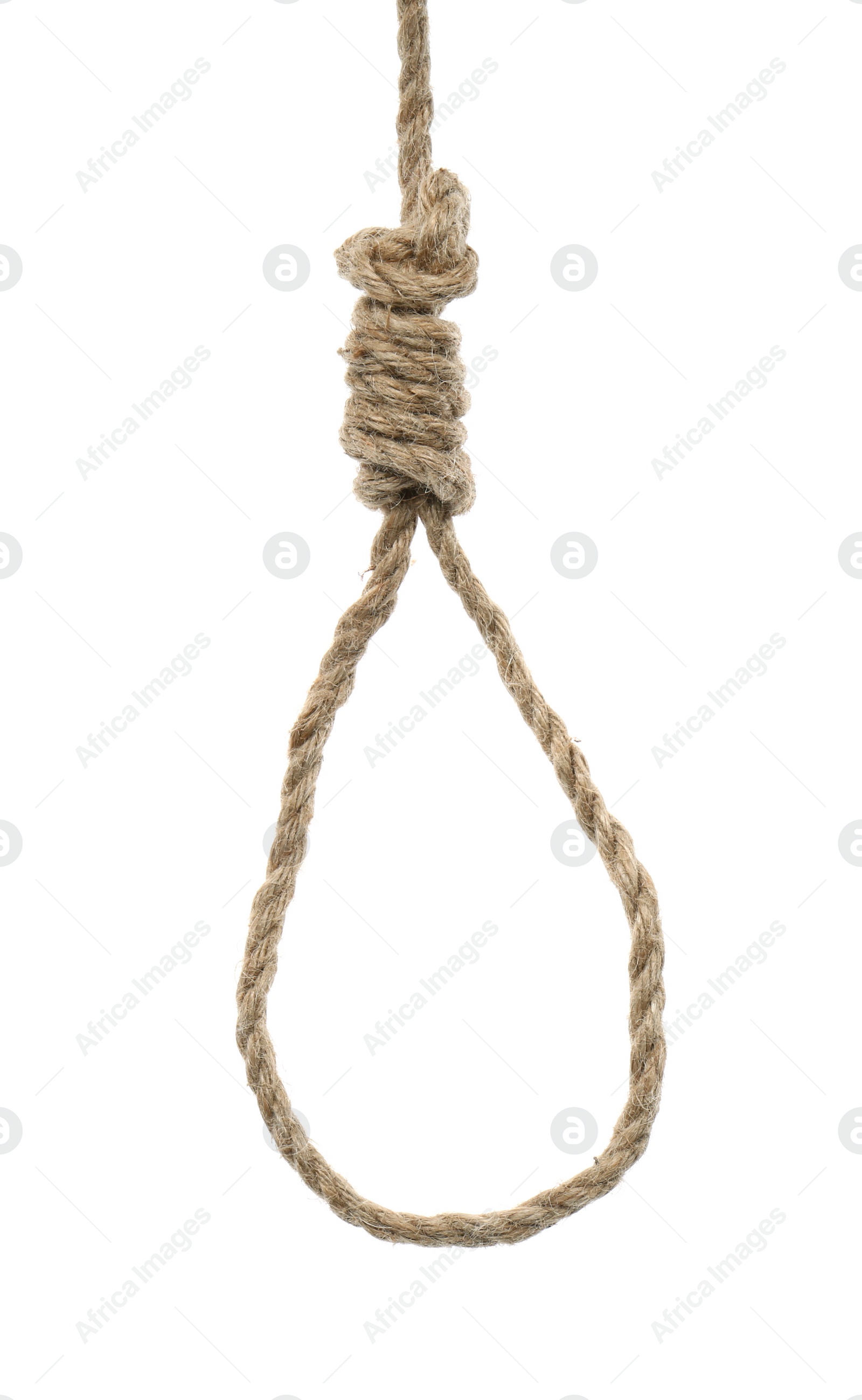 Photo of Hemp rope with knot on white background