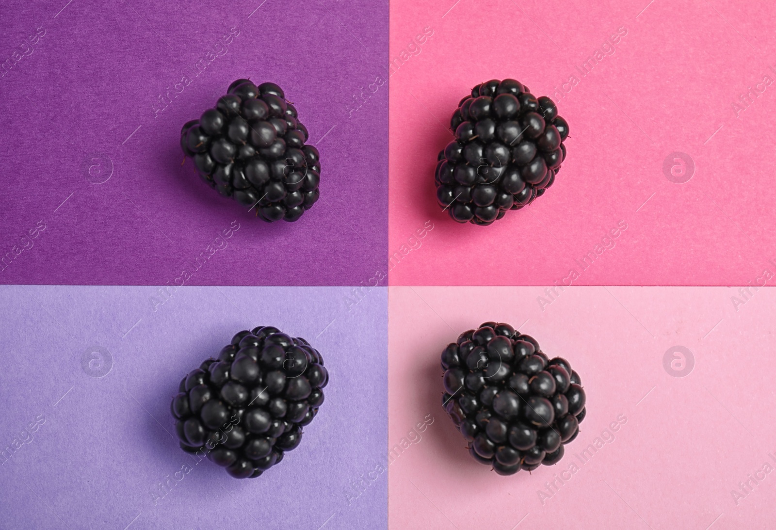 Photo of Flat lay composition with ripe blackberries on color background