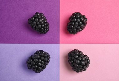 Flat lay composition with ripe blackberries on color background