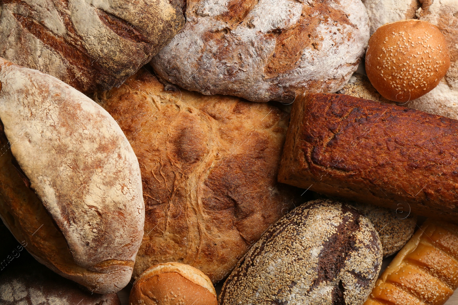 Photo of Different kinds of delicious bread as background, top view