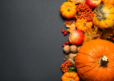 Flat lay composition with ripe pumpkins and autumn leaves on black background, space for text. Happy Thanksgiving day