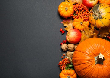 Photo of Flat lay composition with ripe pumpkins and autumn leaves on black background, space for text. Happy Thanksgiving day