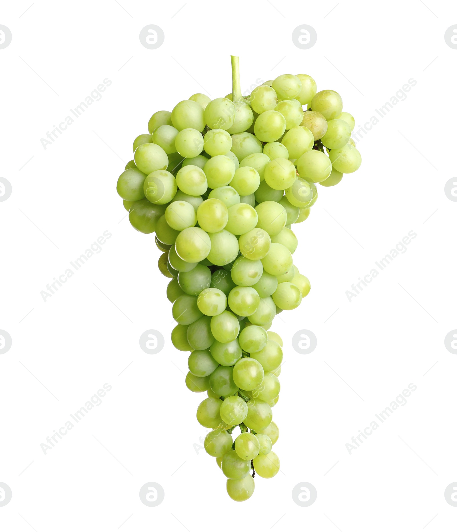 Photo of Bunch of green fresh ripe juicy grapes isolated on white